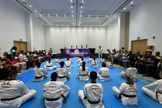 Imagen 1 de la galería del partner Taekwondo Sonbae Cancún 2
