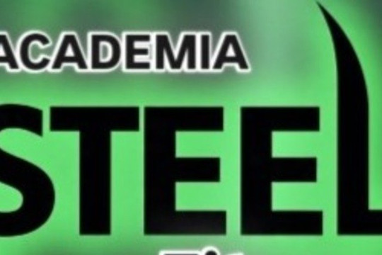 Imagem 1 da galeria do parceiro Academia STEEL FIT PIEDADE