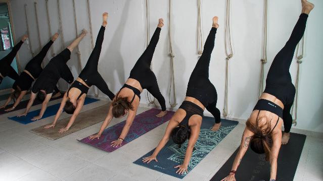 Imagen 1 de la galería del partner Virya Yoga & Holistic Center