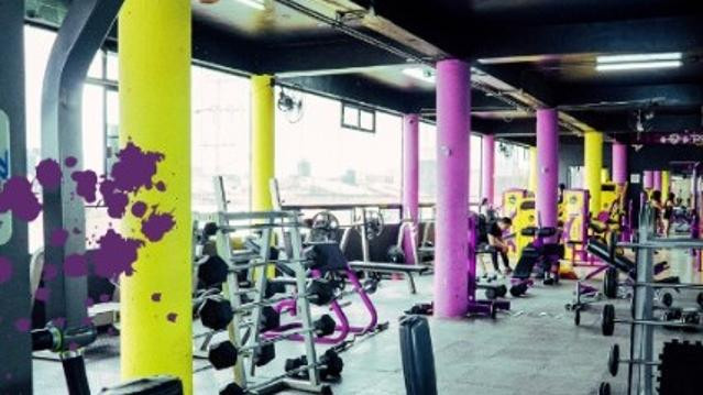Imagen 1 de la galería del partner Pegasus Gym