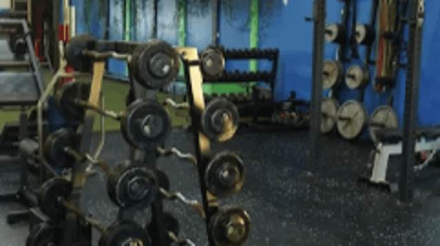 Image 3 from Silverback Xtreme Fitness partner gallery