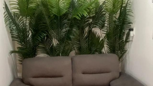 Imagen 3 de la galería del partner Urbanskin Satélite