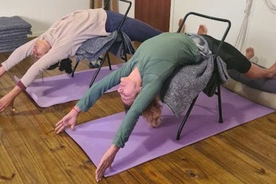 Imagem 1 da galeria do parceiro Espaço de Yoga Lisi da Porciuncula