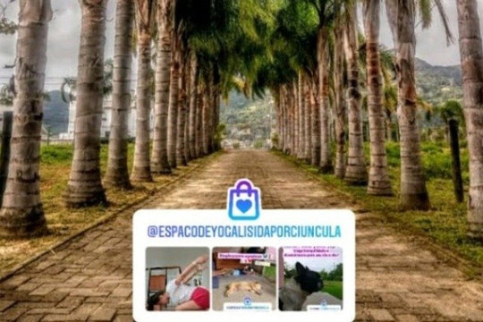 Imagem 2 da galeria do parceiro Espaço de Yoga Lisi da Porciuncula