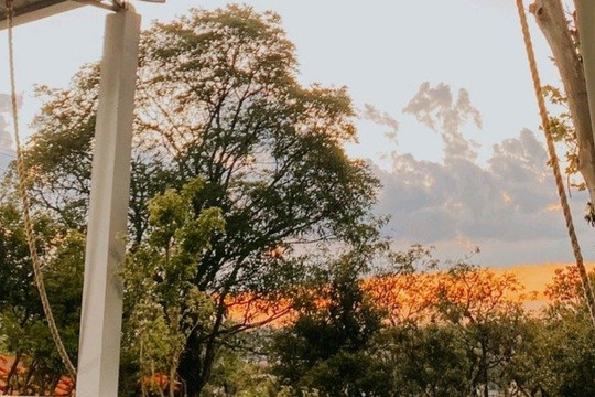 Imagem 1 da galeria do parceiro Farm House Training