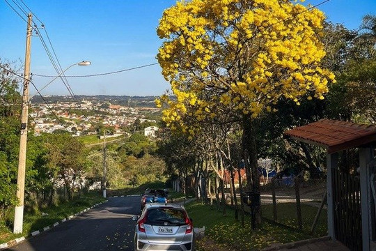 Imagem 2 da galeria do parceiro Farm House Training
