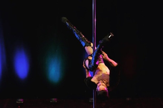 Imagem 2 da galeria do parceiro Studio Naja Exotic Pole