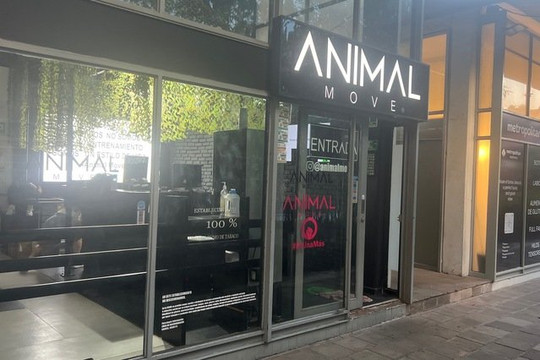 Imagen 2 de la galería del partner Animal Move