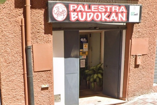 Immagine 3 dalla galleria del partner Palestra Budokan Fitness