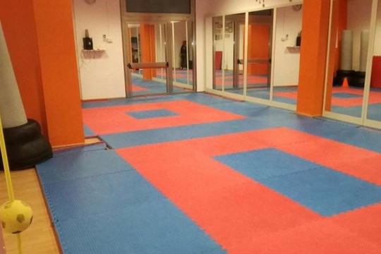 Immagine 2 dalla galleria del partner Palestra Budokan Fitness