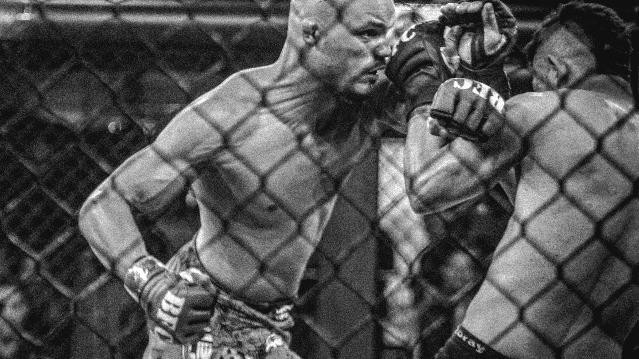 Imagem 1 da galeria do parceiro Team predador