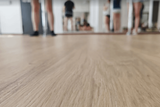 Bild 1 von Pole Birdies Partnergalerie