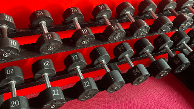 Bild 2 von Tiger Gym Würselen Partnergalerie