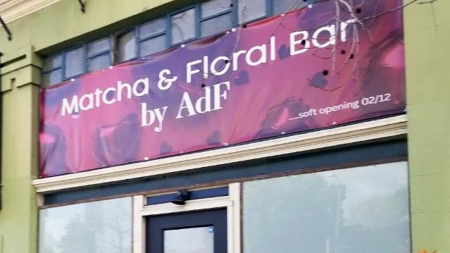 Image 2 from AdF Studio Telegraph partner gallery