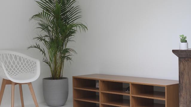 Imagem 3 da galeria do parceiro Fluir Yoga Studio