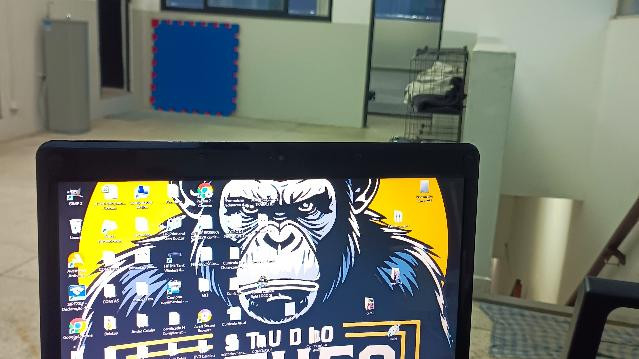 Imagem 3 da galeria do parceiro Studio Catheo Fight