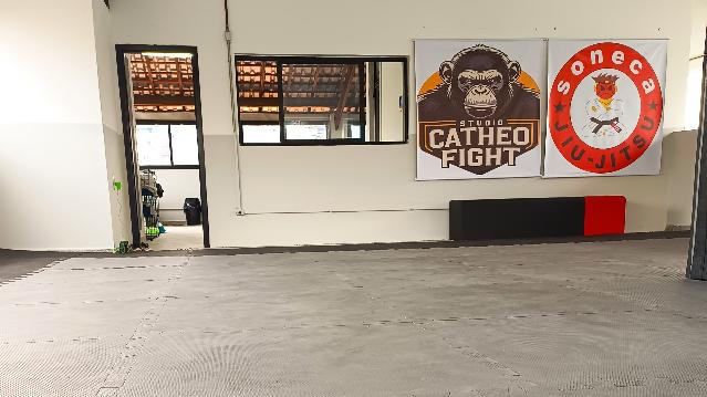 Imagem 1 da galeria do parceiro Studio Catheo Fight