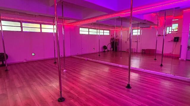 Imagem 3 da galeria do parceiro The Good Girls Pole Studio