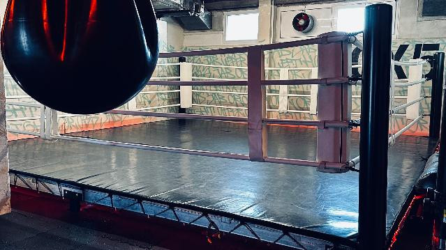 Bild 3 von box5 Partnergalerie