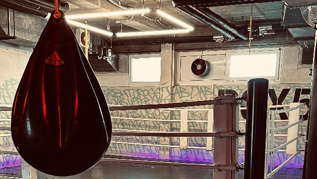 Bild 1 von box5 Partnergalerie