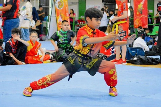 Imagen 2 de la galería del partner Escuela de Artes Marciales Chinas XINJU Leones