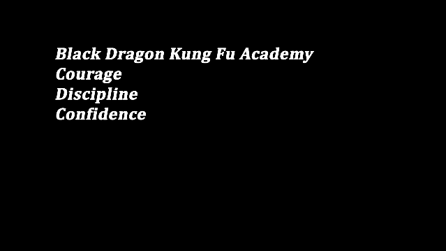 Image 1 from Black Dragon Kung Fu Academy partner gallery