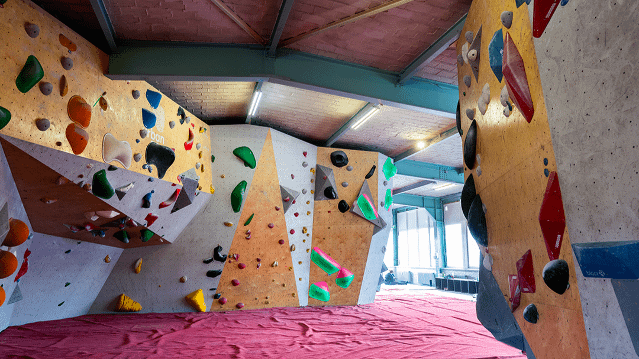 Bild 3 von urban apes bright site Berlin Partnergalerie