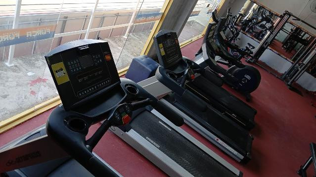 Imagem 1 da galeria do parceiro Tiger Star Força Fitness