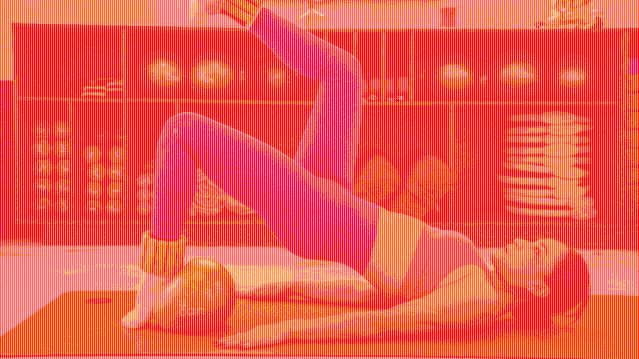 Imagen 1 de la galería del partner 333 Studio Wellness