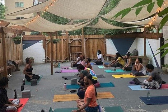 Image 1 from Urban Sanctuary partner gallery