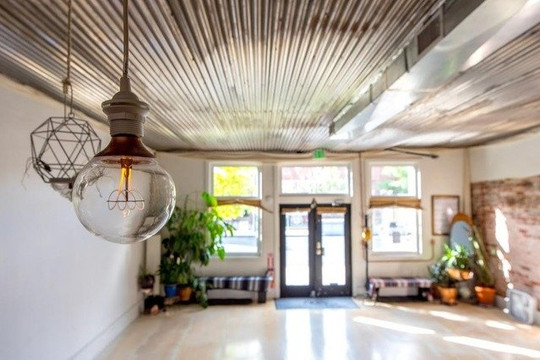 Image 3 from Urban Sanctuary partner gallery