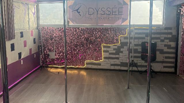Imagen 1 de la galería del partner Odyssé Pole Dance Studio