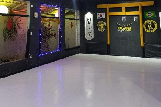 Imagem 1 da galeria do parceiro Calvosa Fight Academy - Hapkido