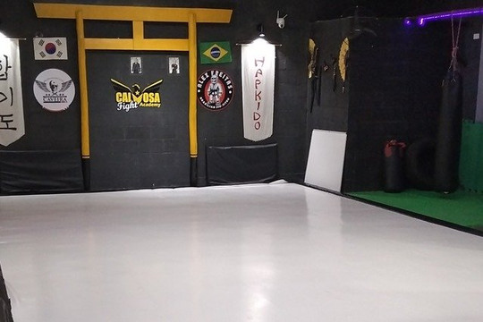 Imagem 2 da galeria do parceiro Calvosa Fight Academy - Hapkido