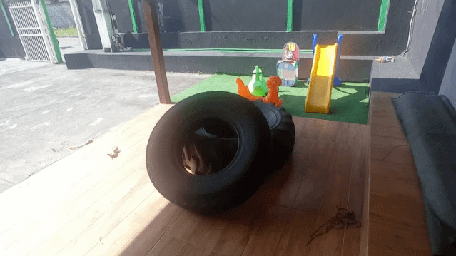 Imagem 3 da galeria do parceiro Studio Vip