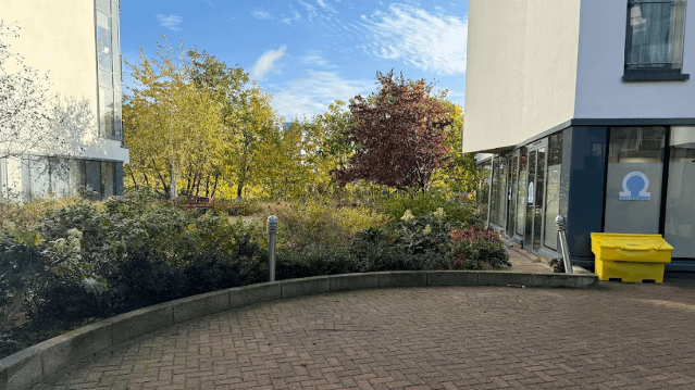 Image 2 from Omega Fitness Lab partner gallery