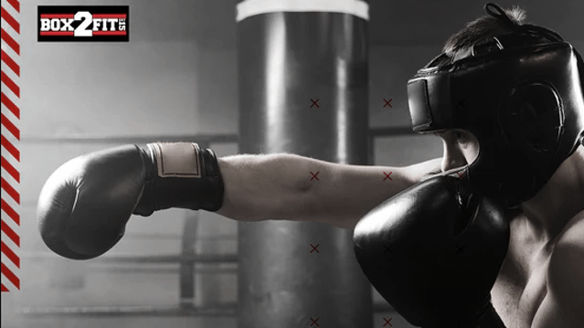 Image 1 from Box2Fit - Langley partner gallery