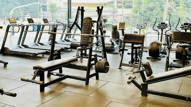 Imagem 1 da galeria do parceiro Ficus Academia