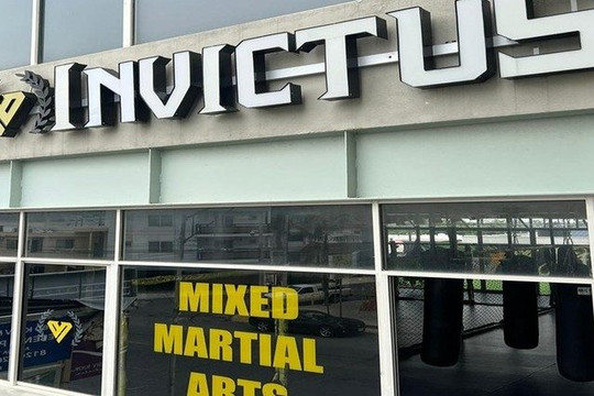 Imagen 2 de la galería del partner Invictus Fight System