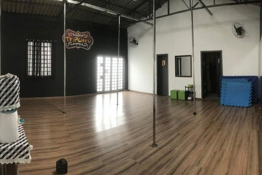 Imagem 3 da galeria do parceiro TripCirco Escola e Produções