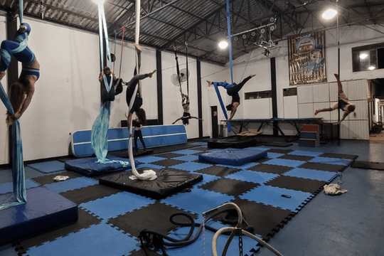 Imagem 1 da galeria do parceiro TripCirco Escola e Produções