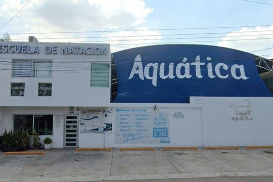 Imagen 2 de la galería del partner Aquatica Escuela de Natación Juárez