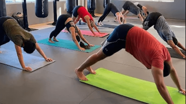 Image 3 de la galerie du partenaire EASE Yoga