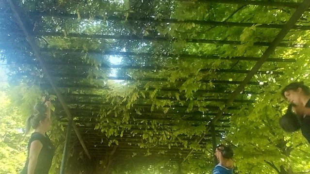 Imagen 3 de la galería del partner Santoro Training Sede Plaza Arenales