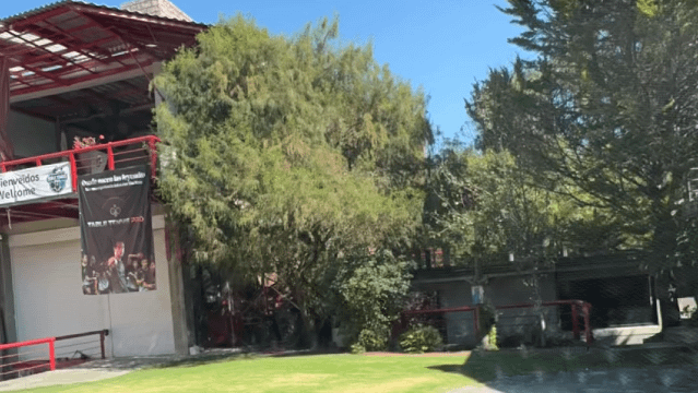 Imagen 2 de la galería del partner Table Tennis Pro