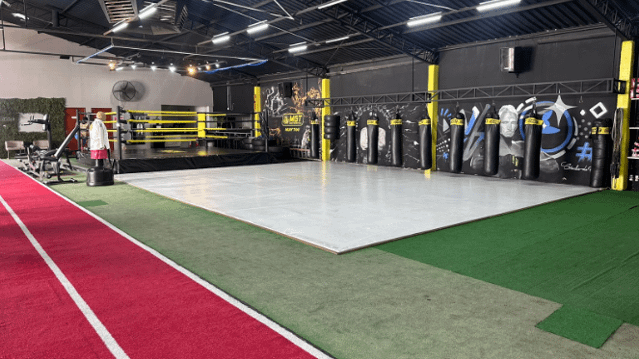 Imagem 1 da galeria do parceiro Macaco Gold Team