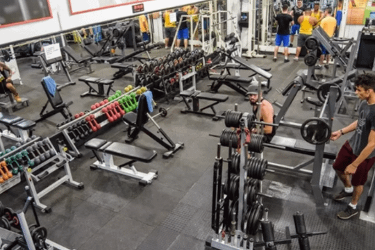 Imagem 1 da galeria do parceiro Perform Academia Oriente