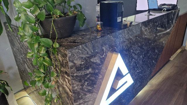 Imagen 3 de la galería del partner Gracie Barra Monterrey