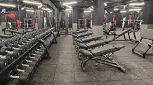 Imagen 3 de la galería del partner Synergym Alzira Naranjo