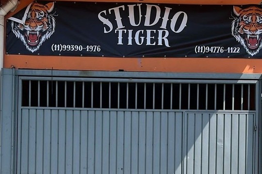 Imagem 2 da galeria do parceiro Studio Tiger
